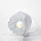 Foldable Anti Spray KN95 face mask with filter